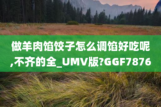 做羊肉馅饺子怎么调馅好吃呢,不齐的全_UMV版?GGF7876