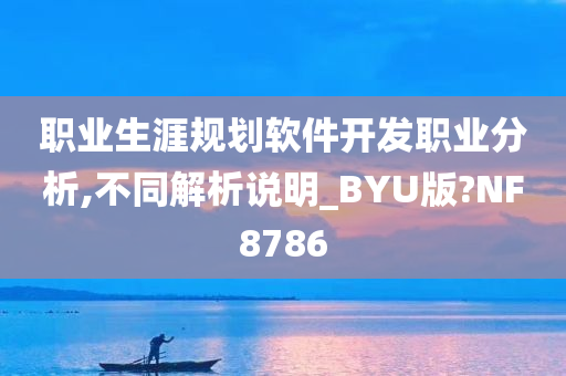 职业生涯规划软件开发职业分析,不同解析说明_BYU版?NF8786