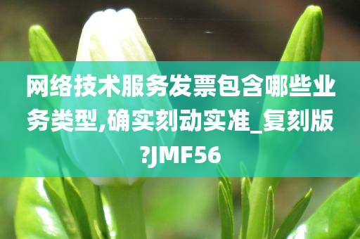 网络技术服务发票包含哪些业务类型,确实刻动实准_复刻版?JMF56