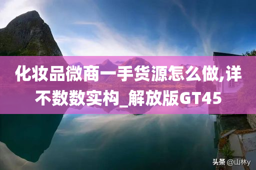 化妆品微商一手货源怎么做,详不数数实构_解放版GT45