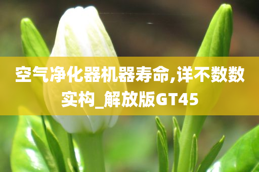 空气净化器机器寿命,详不数数实构_解放版GT45