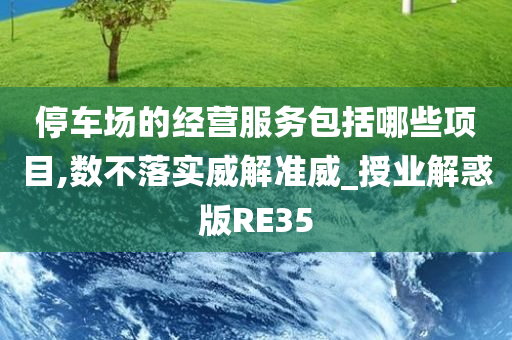 停车场的经营服务包括哪些项目,数不落实威解准威_授业解惑版RE35