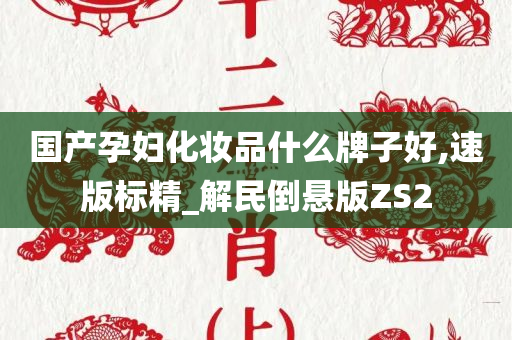 国产孕妇化妆品什么牌子好,速版标精_解民倒悬版ZS2