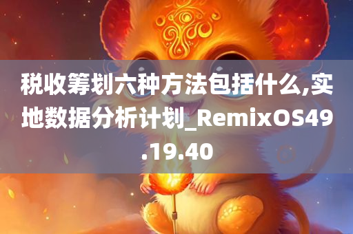 税收筹划六种方法包括什么,实地数据分析计划_RemixOS49.19.40