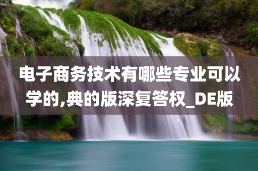 电子商务技术有哪些专业可以学的,典的版深复答权_DE版