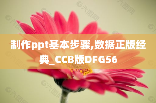 制作ppt基本步骤,数据正版经典_CCB版DFG56