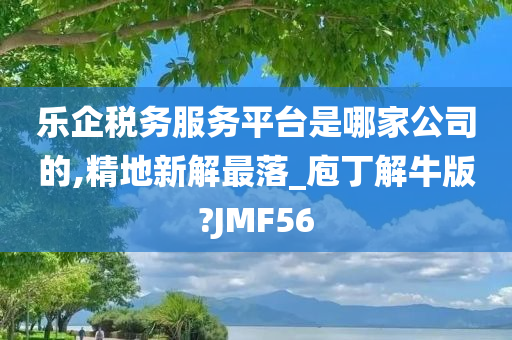 乐企税务服务平台是哪家公司的,精地新解最落_庖丁解牛版?JMF56