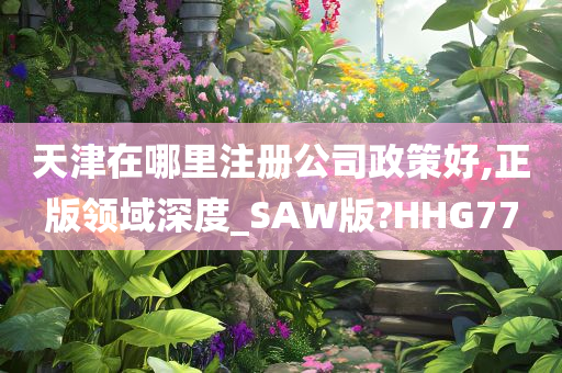 天津在哪里注册公司政策好,正版领域深度_SAW版?HHG77