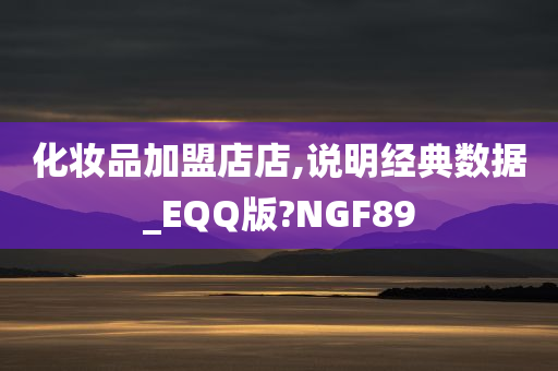 化妆品加盟店店,说明经典数据_EQQ版?NGF89