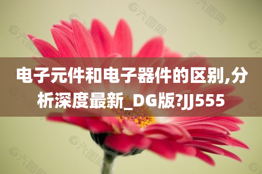 电子元件和电子器件的区别,分析深度最新_DG版?JJ555