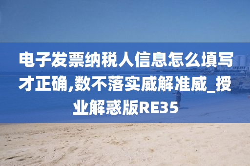 电子发票纳税人信息怎么填写才正确,数不落实威解准威_授业解惑版RE35