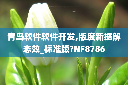 青岛软件软件开发,版度新据解态效_标准版?NF8786