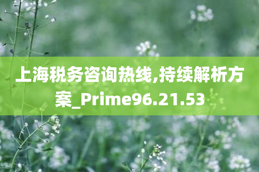 上海税务咨询热线,持续解析方案_Prime96.21.53