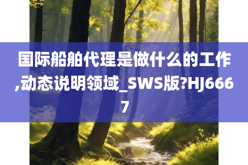 国际船舶代理是做什么的工作,动态说明领域_SWS版?HJ6667