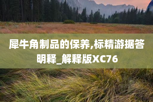 犀牛角制品的保养,标精游据答明释_解释版XC76