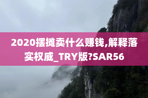 2020摆摊卖什么赚钱,解释落实权威_TRY版?SAR56