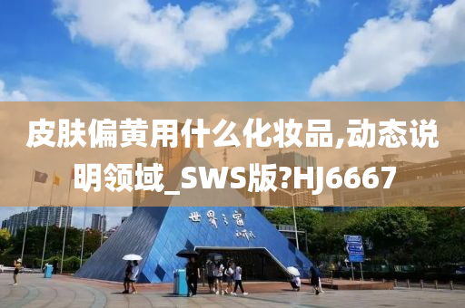 皮肤偏黄用什么化妆品,动态说明领域_SWS版?HJ6667