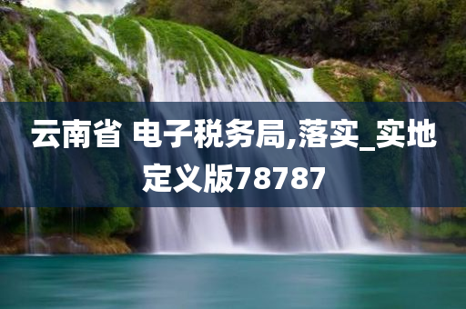 云南省 电子税务局,落实_实地定义版78787