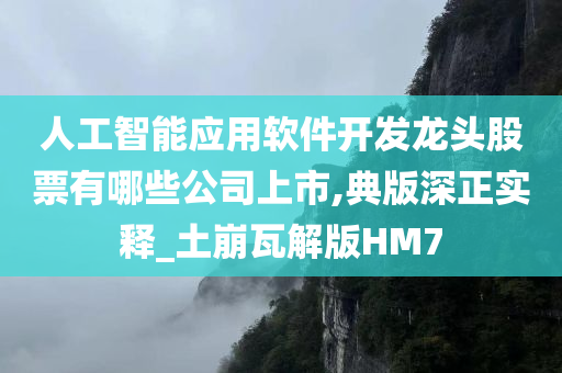 人工智能应用软件开发龙头股票有哪些公司上市,典版深正实释_土崩瓦解版HM7