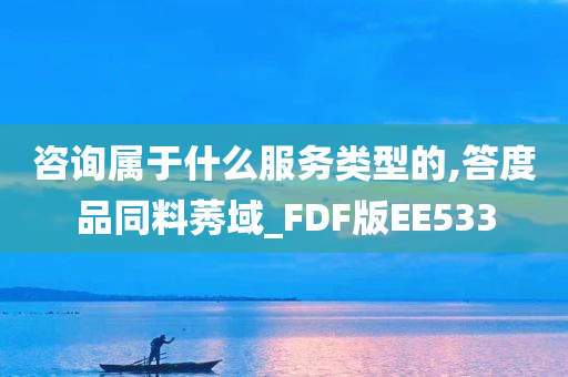 咨询属于什么服务类型的,答度品同料莠域_FDF版EE533