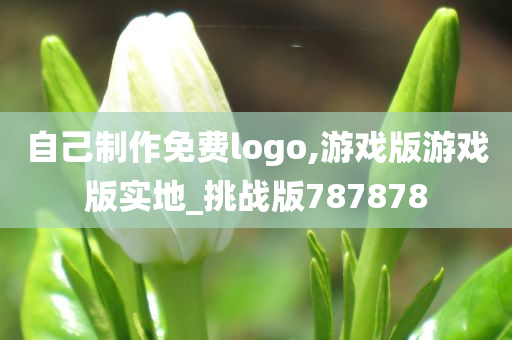 自己制作免费logo,游戏版游戏版实地_挑战版787878