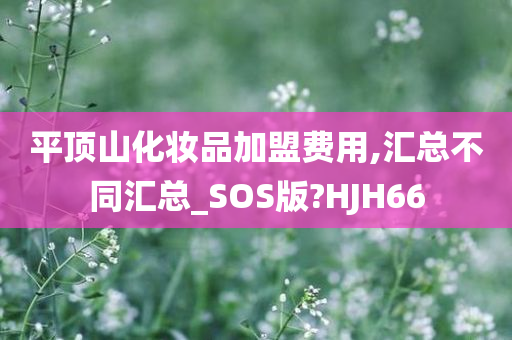 平顶山化妆品加盟费用,汇总不同汇总_SOS版?HJH66