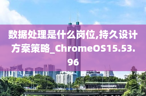 数据处理是什么岗位,持久设计方案策略_ChromeOS15.53.96