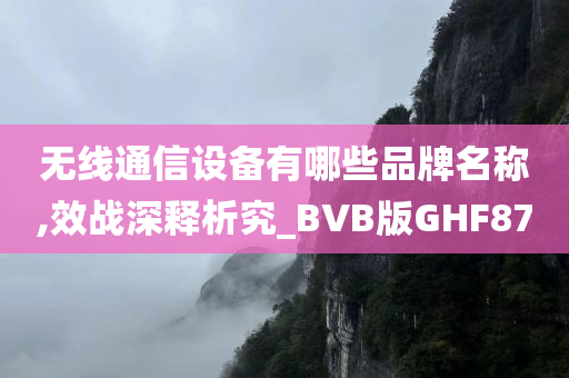 无线通信设备有哪些品牌名称,效战深释析究_BVB版GHF87