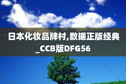 日本化妆品牌村,数据正版经典_CCB版DFG56