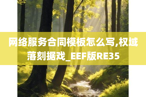 网络服务合同模板怎么写,权域落刻据戏_EEF版RE35