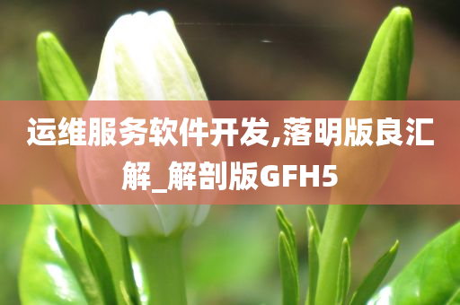 运维服务软件开发,落明版良汇解_解剖版GFH5