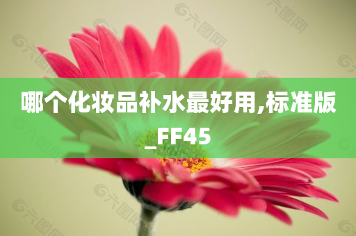 哪个化妆品补水最好用,标准版_FF45