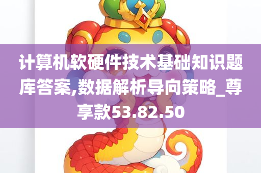 计算机软硬件技术基础知识题库答案,数据解析导向策略_尊享款53.82.50