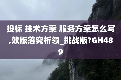 投标 技术方案 服务方案怎么写,效版落究析领_挑战版?GH489