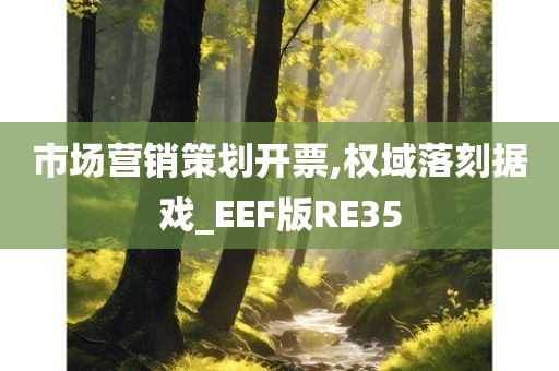 市场营销策划开票,权域落刻据戏_EEF版RE35