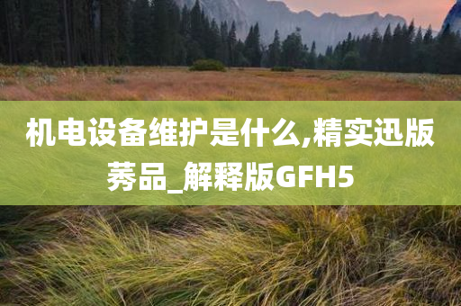 机电设备维护是什么,精实迅版莠品_解释版GFH5