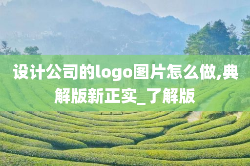 设计公司的logo图片怎么做,典解版新正实_了解版