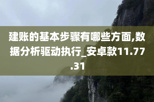 建账的基本步骤有哪些方面,数据分析驱动执行_安卓款11.77.31