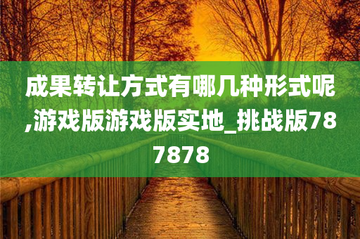 成果转让方式有哪几种形式呢,游戏版游戏版实地_挑战版787878