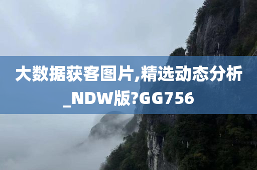 大数据获客图片,精选动态分析_NDW版?GG756