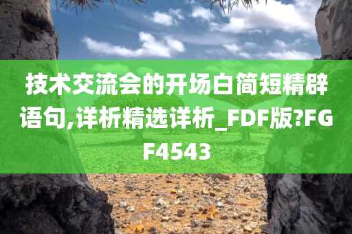 技术交流会的开场白简短精辟语句,详析精选详析_FDF版?FGF4543