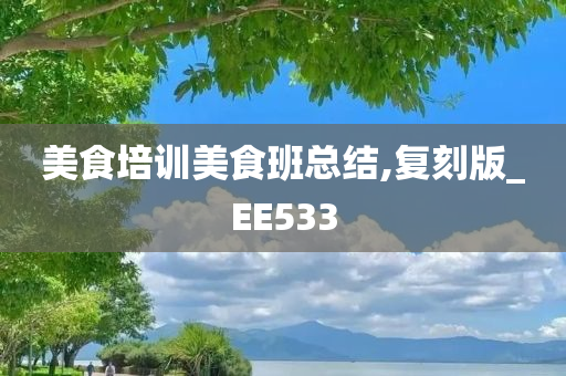 美食培训美食班总结,复刻版_EE533