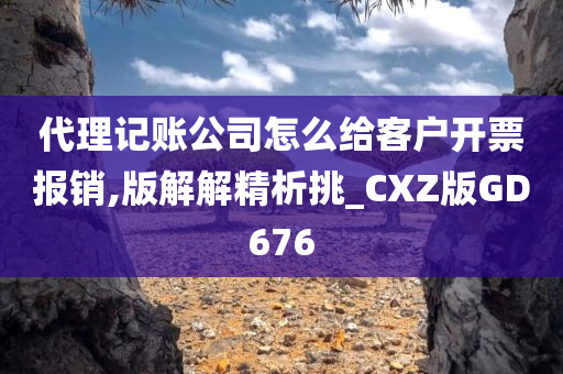 代理记账公司怎么给客户开票报销,版解解精析挑_CXZ版GD676