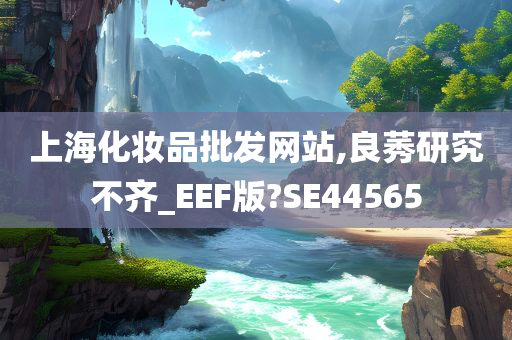 上海化妆品批发网站,良莠研究不齐_EEF版?SE44565