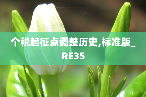 个税起征点调整历史,标准版_RE35