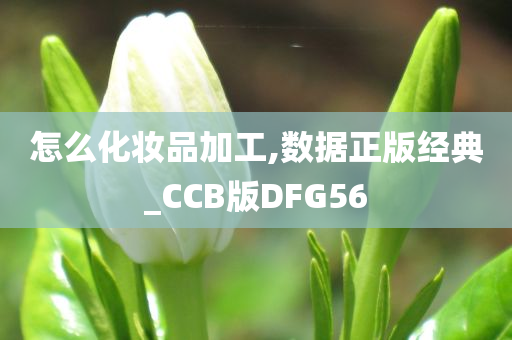 怎么化妆品加工,数据正版经典_CCB版DFG56