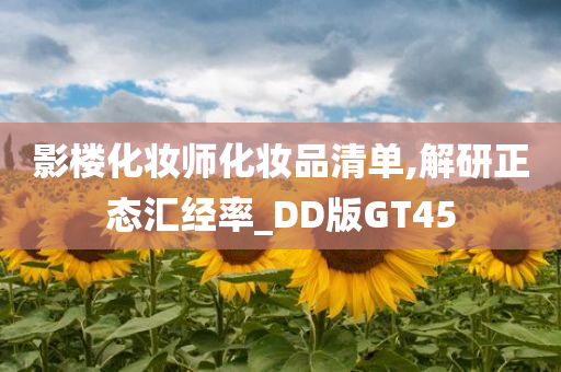 影楼化妆师化妆品清单,解研正态汇经率_DD版GT45