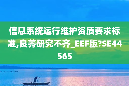 信息系统运行维护资质要求标准,良莠研究不齐_EEF版?SE44565