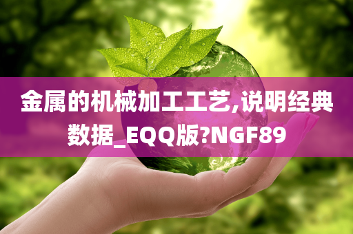 金属的机械加工工艺,说明经典数据_EQQ版?NGF89