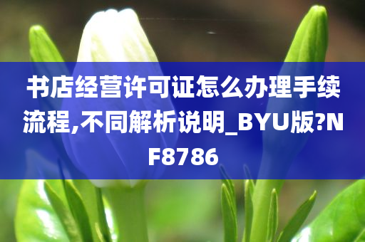 书店经营许可证怎么办理手续流程,不同解析说明_BYU版?NF8786